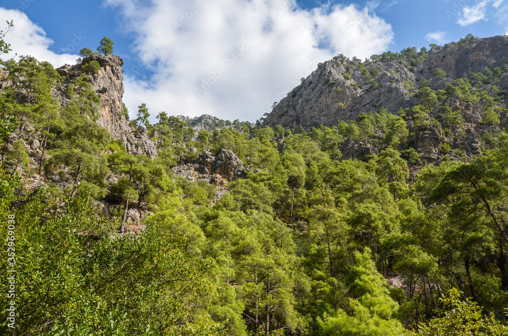 Landscape of the Taurus mountains covered by trees on famous Likya Yolu tourist way in Turkey