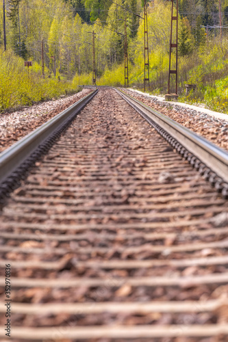 Railroad track between green trees leading to the horizon. Selective focus.