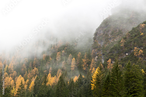morning fog in the mountains