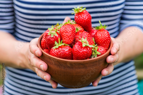 Woman's hands are holding a bowl with strawberries. Fresh organic strawberries. Harvest concept