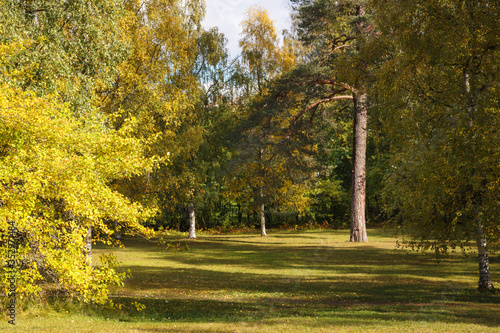 Sunny autumn day in Östersund photo