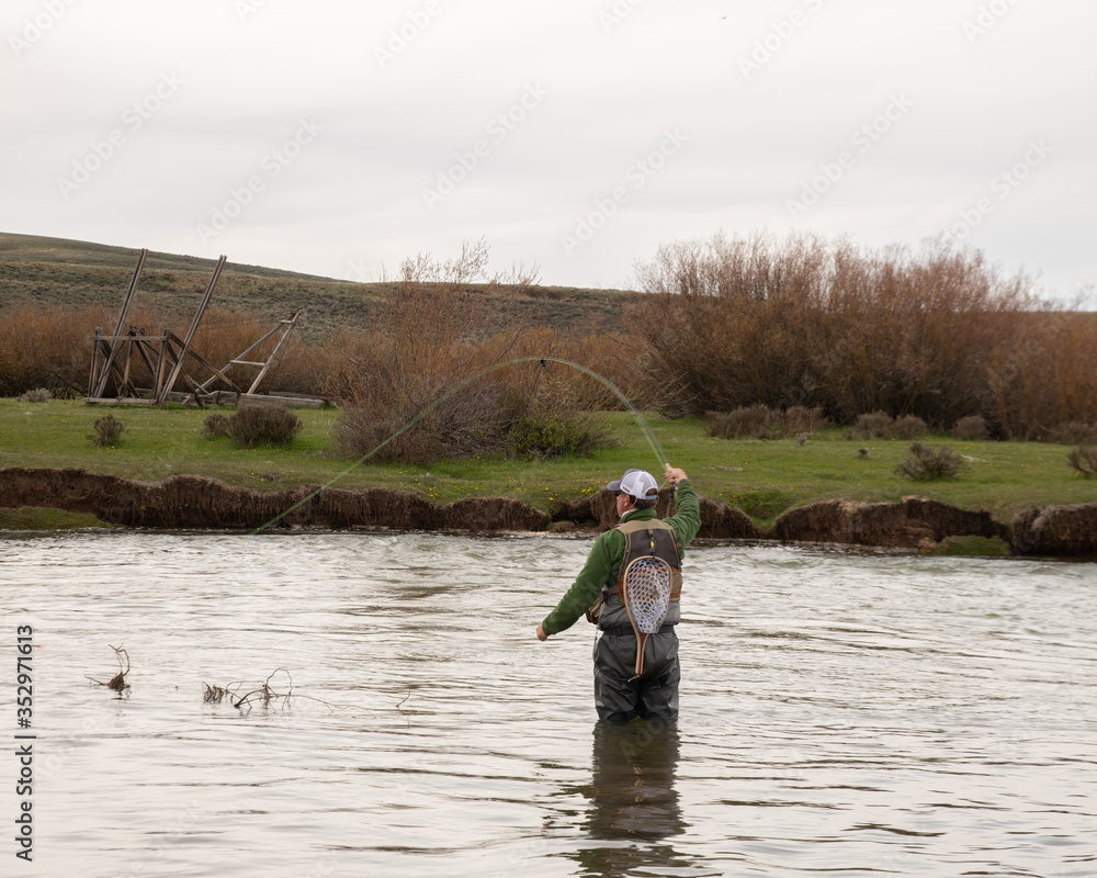 A man flying fishing on a wild trout stream in Wyoming. A man flying fishing on a wild trout stream in Wyoming.