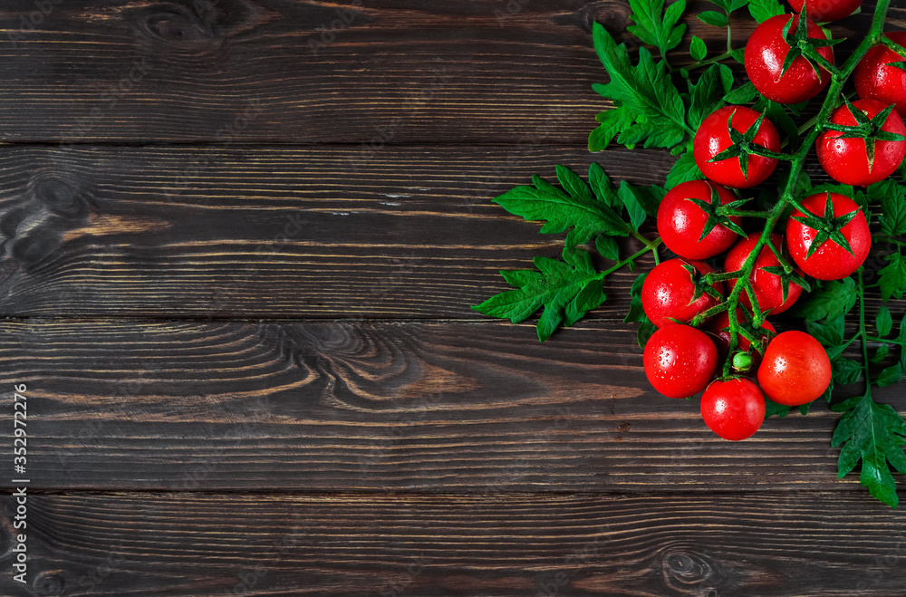 Fresh cherry tomatoes on a branch with leaves in the upper corner on a dark wooden background. Ripe tomatoes in droplets of water. Copy space for text, flat lay Fresh cherry tomatoes on a branch with leaves in the upper corner on a dark wooden background. Ripe tomatoes in droplets of water. Copy space for text, flat lay