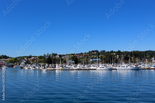boats in the marina © Peter