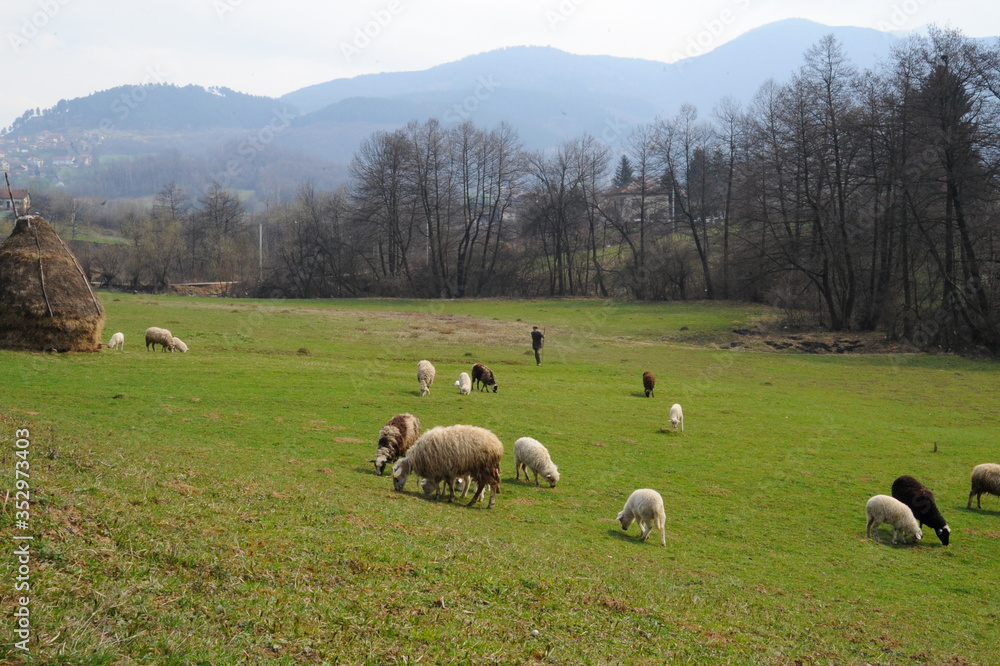 Fototapeta premium Bosnian countryside
