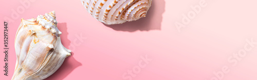 Summer concept with seashells overhead view - flat lay