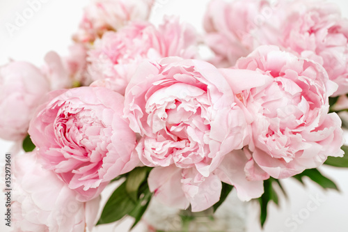 Bouquet of pale pink blooming peonies on the white background