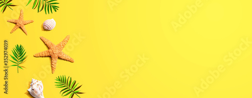 Summer concept with starfish and seashells overhead view - flat lay