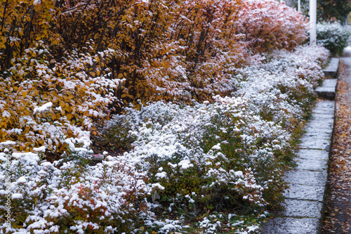 First snow photo