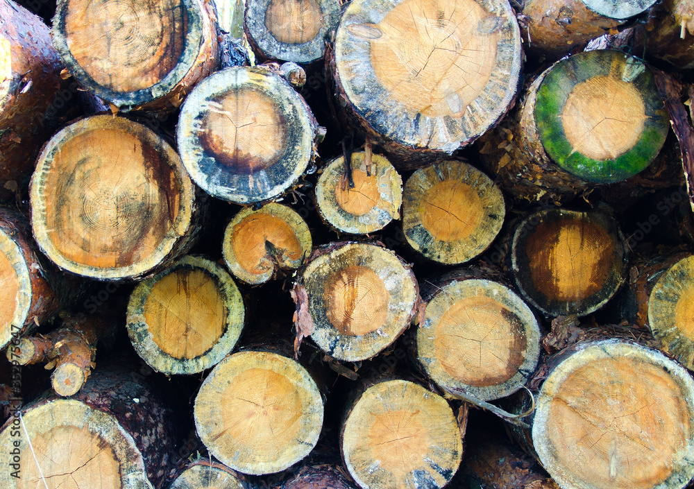 Logs stacked on top of each other
