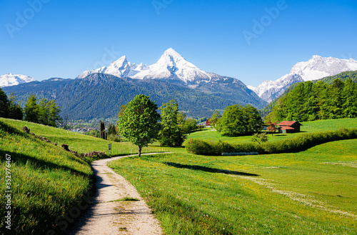Obraz na plátne Idyllic mountain scenery in the Alps with blooming meadows in spring