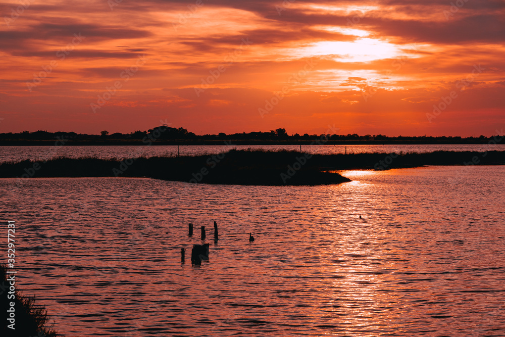 Saline di Cervia Natural Park and Wildlife Reserve at sunset, a wildlife and bird sanctuary, perfect for birdwatching. Sun going down in a spectacular orange and pink sky.