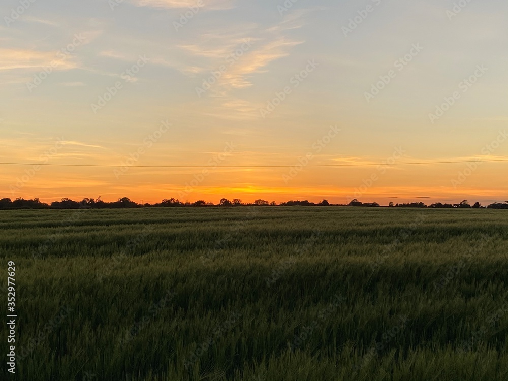 sunset over a crop field in Warwickshire 