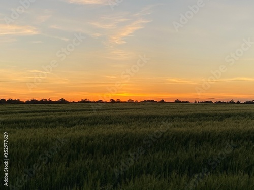 sunset over a crop field in Warwickshire 