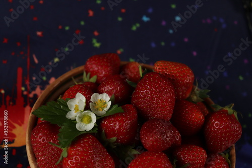ripe strawberries with flowers in a plate on a blue background