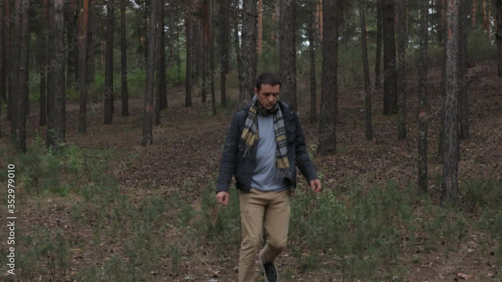 A man is looking for a missing person in the forest. A man is looking for a missing person in the forest.