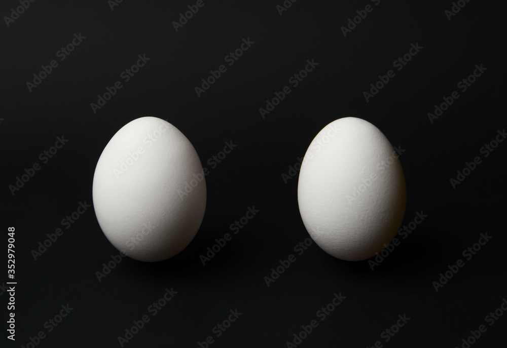 chicken eggs on a black background with space for text chicken eggs on a black background with space for text