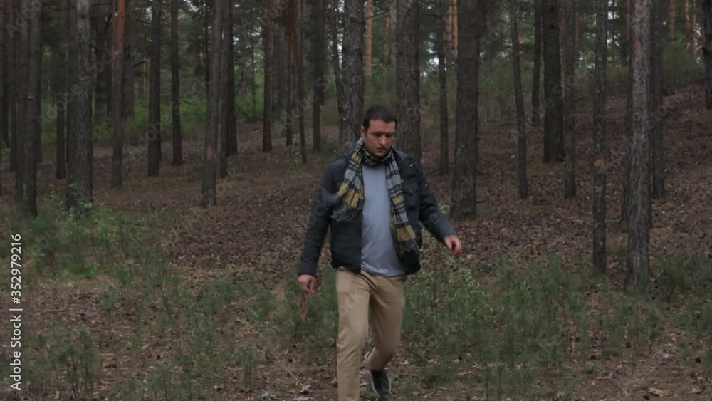 A man is looking for a missing person in the forest. A man is looking for a missing person in the forest.