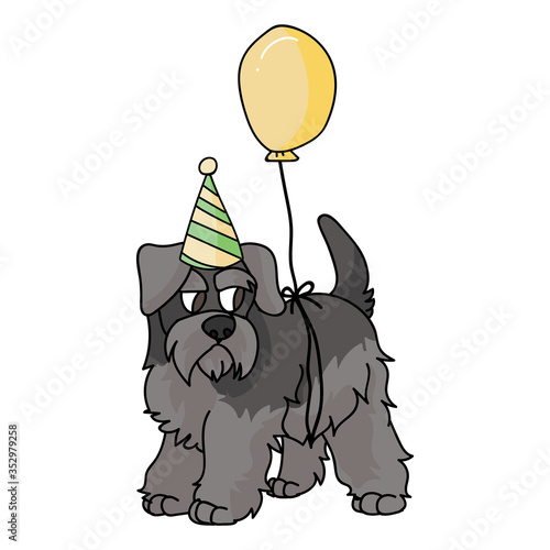 Cute cartoon schnauzer puppy with party hat vector clipart. Pedigree kennel doggie breed. Purebred domestic puppy terrier for celebration illustration mascot. Isolated canine.