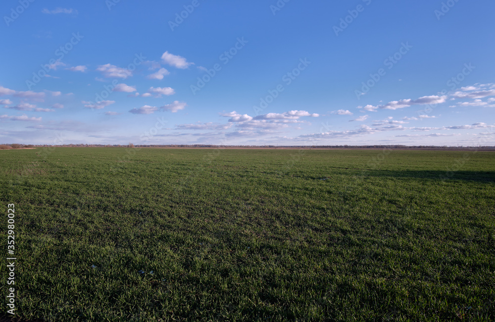 green field and blue sky green field and blue sky