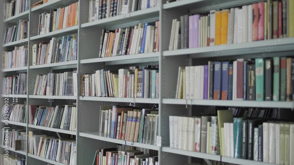 The library interior. Shelfs with books The library interior. Shelfs with books