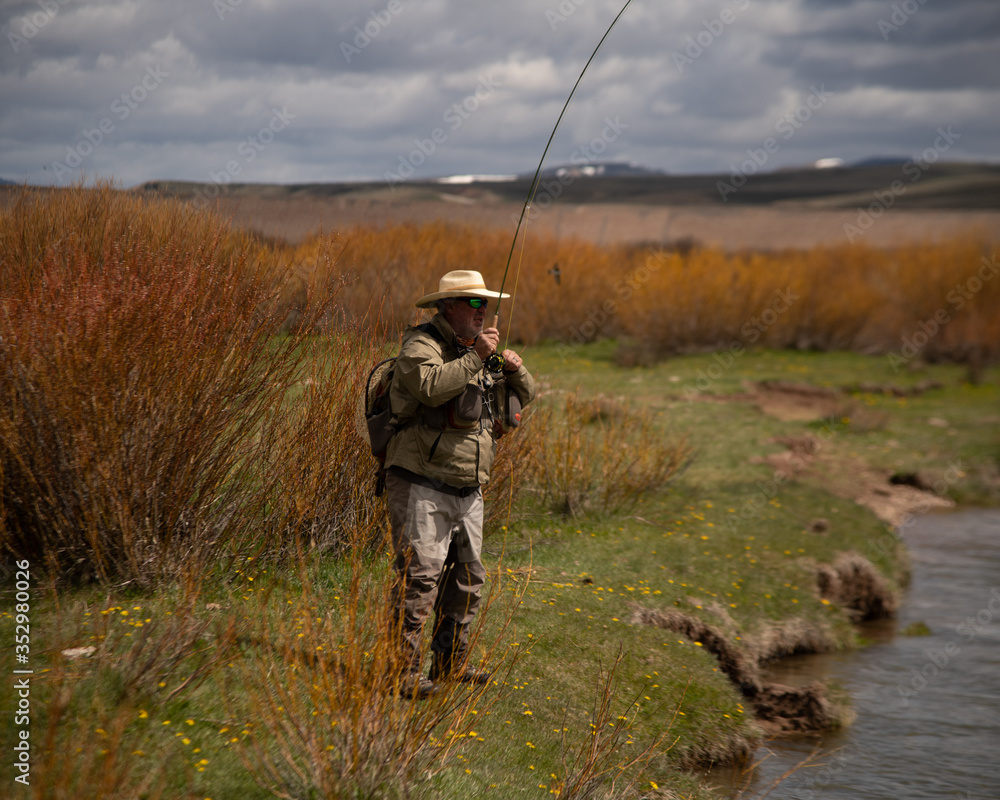 A man fly fishing on a wild western river. A man fly fishing on a wild western river.