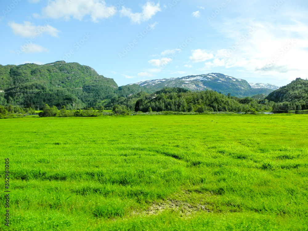 bright green meadow in Norway country side