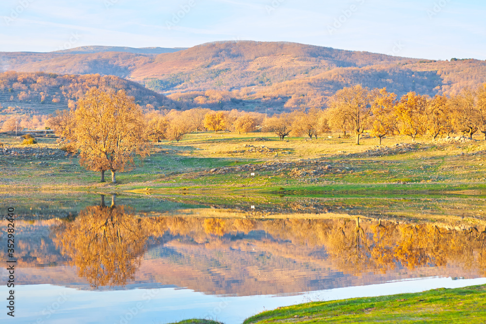 Beautiful forest landscape in autumn with a lake at sunset