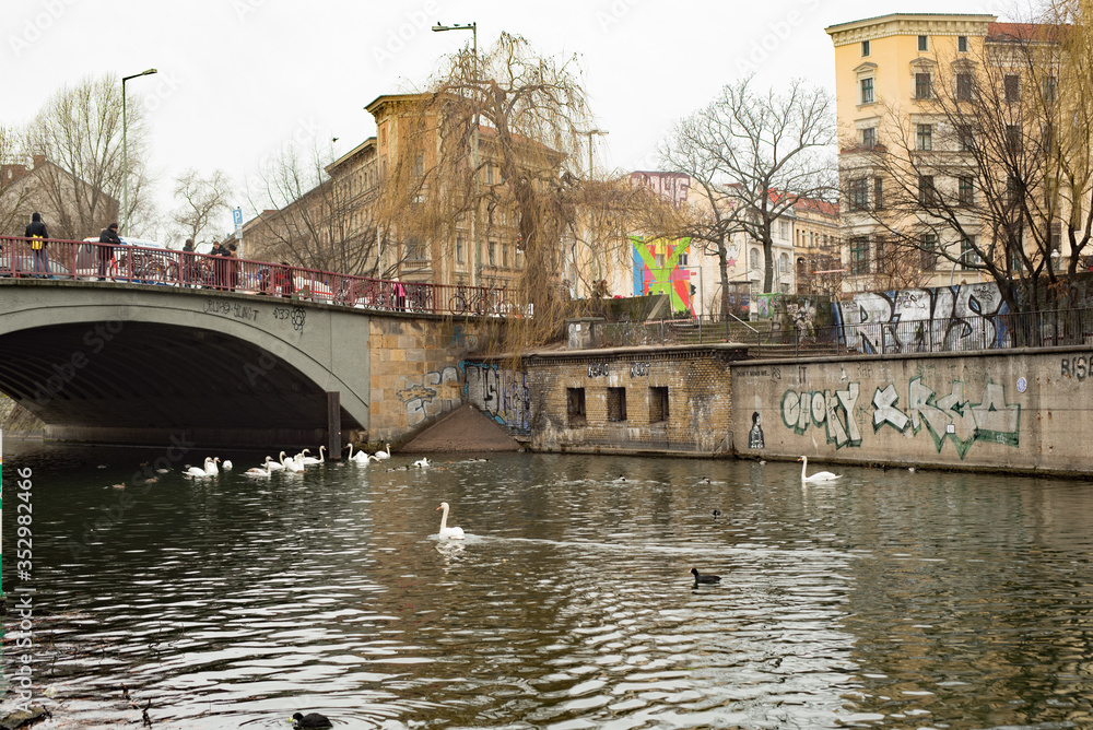 Obraz premium Swans in Berlin