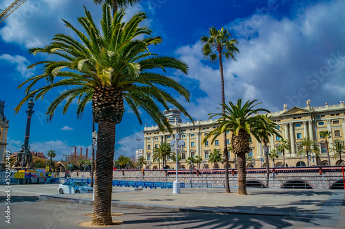 palm trees in barcelona spain