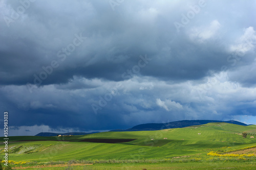 Natural beautiful landscape with stormy sky with clouds over the green field. © saixa