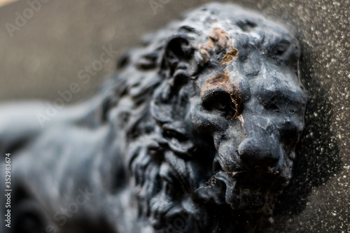 Lion sculpture in close-up