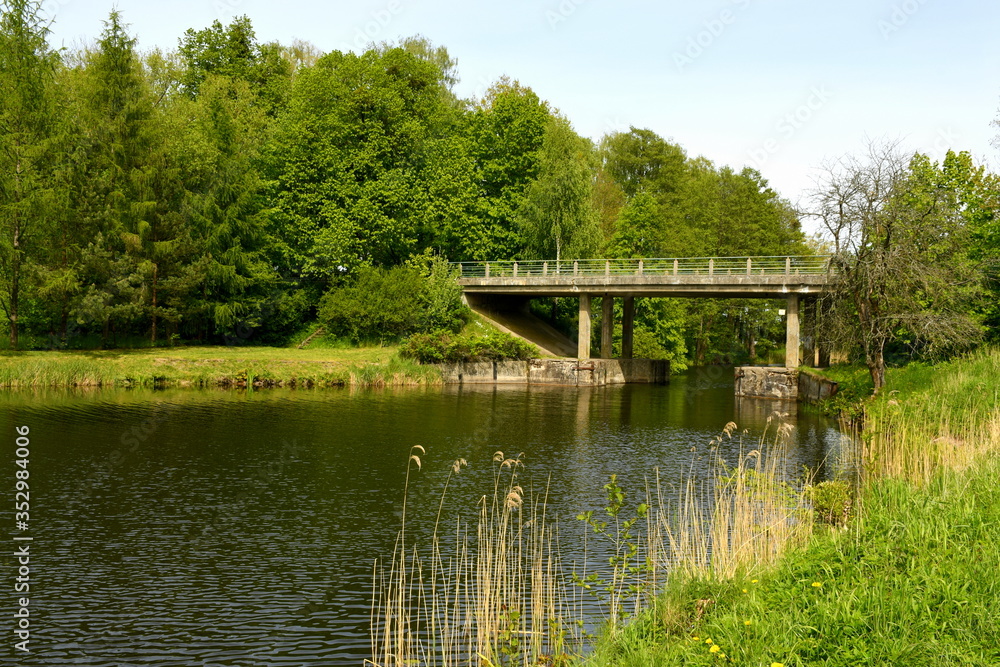 View of a vast yet shallow river or lake with its both coasts covered with grass and reeds and a small concrete bridge connecting two sides of a road leading through a dense forest or moor in Poland