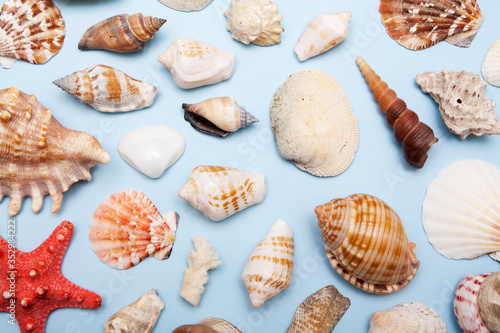Top view of shells of different shapes and sizes on a blue background. Summer, sea, vacation background