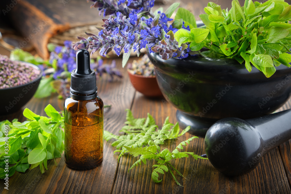 Dropper bottle of essential oil or infusion, mortar of bilberry twigs and healthy bugleherb flowers, fern leaves. Bowls of medicinal herbs and old book on background. Alternative medicine. Dropper bottle of essential oil or infusion, mortar of bilberry twigs and healthy bugleherb flowers, fern leaves. Bowls of medicinal herbs and old book on background. Alternative medicine.