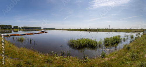 Dordrecht Biesbos Water birds