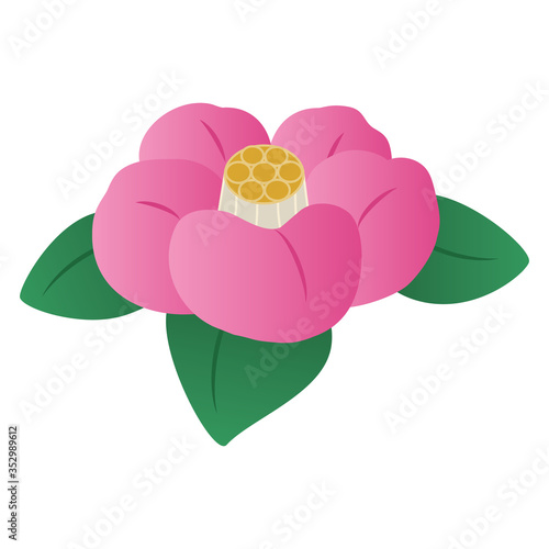 椿の花