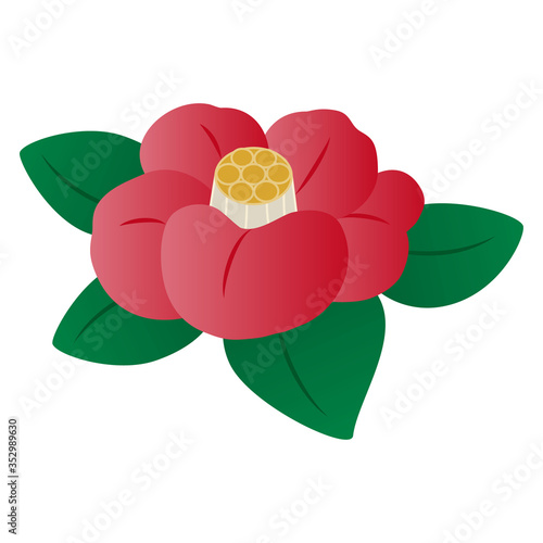 椿の花