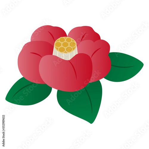 椿の花