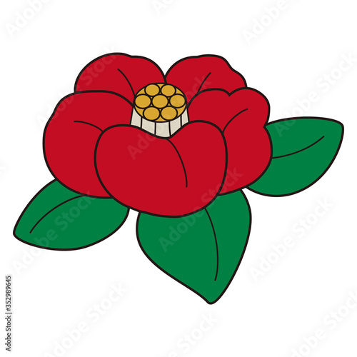 椿の花