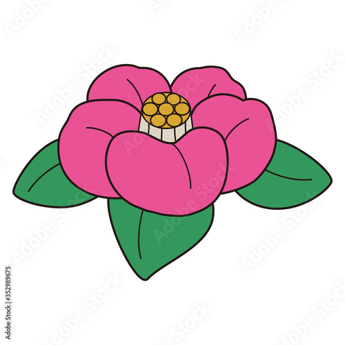 椿の花