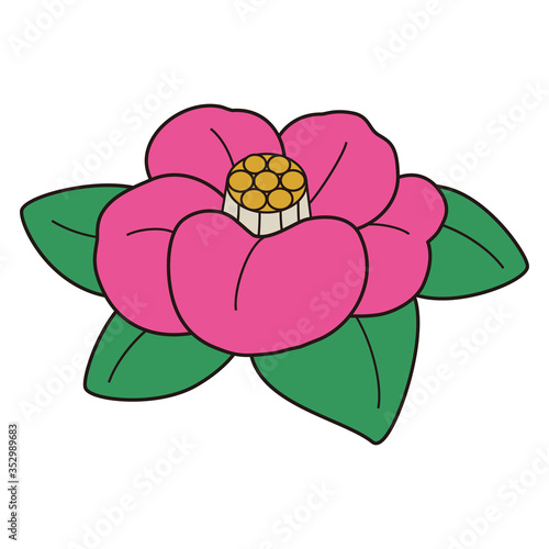 椿の花