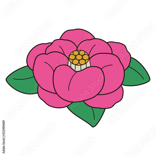 椿の花