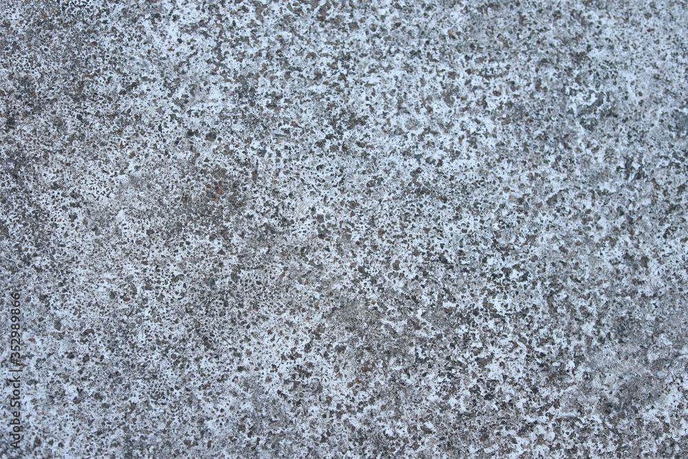 Obraz premium White old cement wall concrete backgrounds textured. Abstract vintage texture. Background from cracks, breaks, stains. Grunge cracks, damage