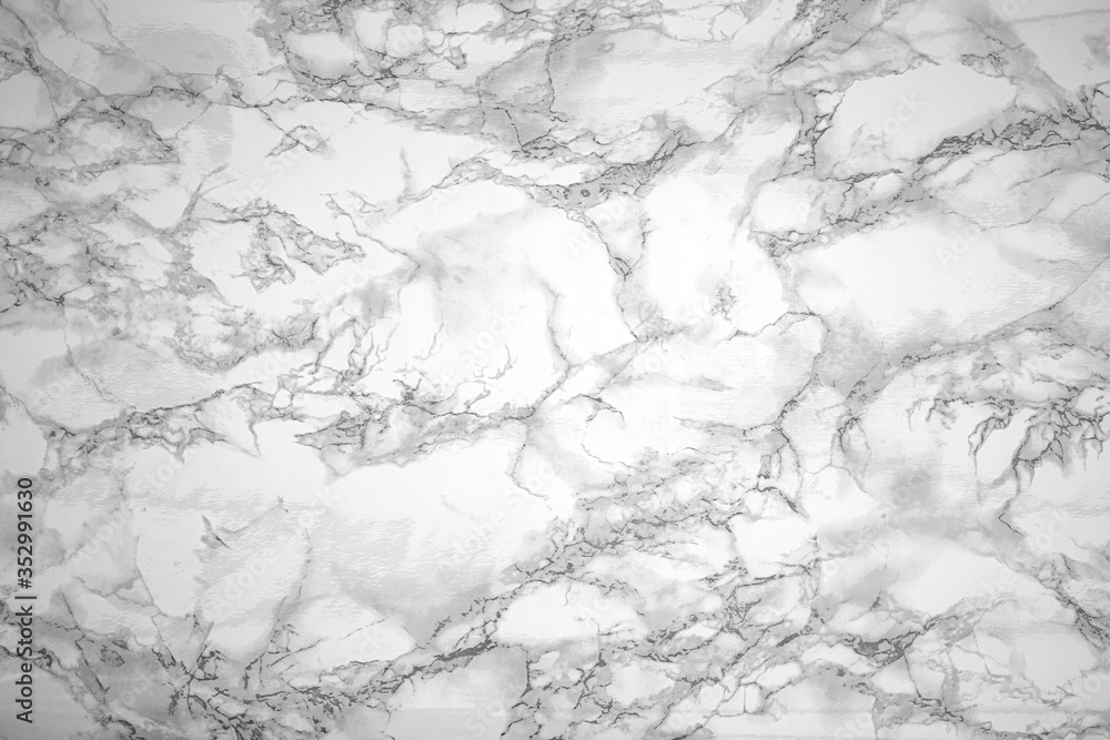 Natural birch twig with leaves and catkins on marble white black backdrop. Natural eco-friendly products background, flat lay, copy space Natural birch twig with leaves and catkins on marble white black backdrop. Natural eco-friendly products background, flat lay, copy space