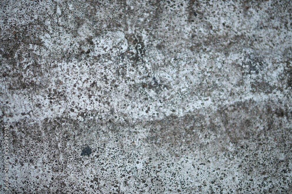 Obraz premium White old cement wall concrete backgrounds textured. Abstract vintage texture. Background from cracks, breaks, stains. Grunge cracks, damage