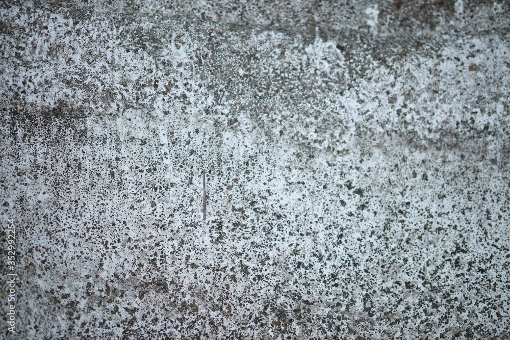 Obraz premium White old cement wall concrete backgrounds textured. Abstract vintage texture. Background from cracks, breaks, stains. Grunge cracks, damage
