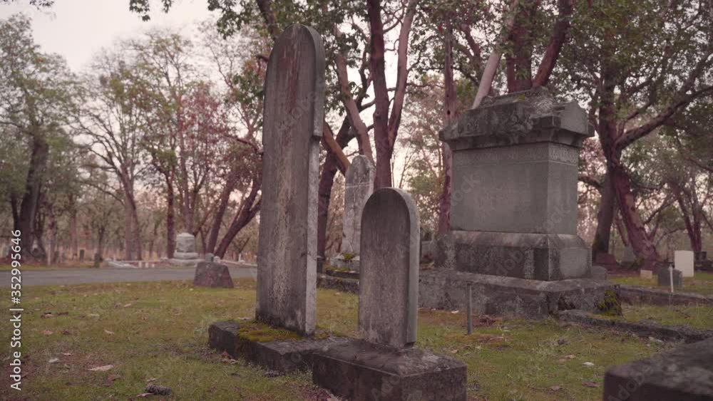 Ancient Cemetery Grave Stones in the Forest with Spooky Colors Ancient Cemetery Grave Stones in the Forest with Spooky Colors