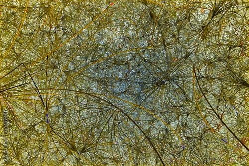 Fototapeta Naklejka Na Ścianę i Meble -  3D render. The embossed background texture, 3d illustration, volumetric drawing. Textures for the design. Three-dimensional texture. 3D Fractal shape