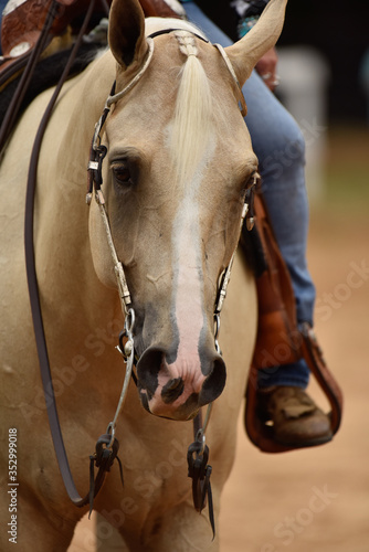 Summer western horse show